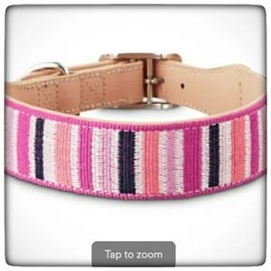 Bond & Co. Sorbet Striped Dog Collar-Small